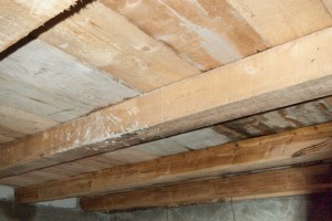 How to install mineral wool between studs How to install mineral wool between studs