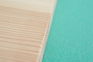 Close up with bird house edges
