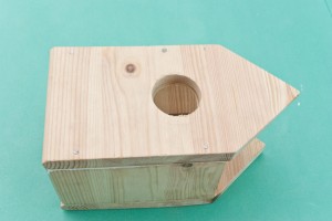The round entrance of the bird house