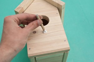 Installing the perch of the birdhouse