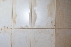 Cleaning excess grout off the wall tiles Cleaning excess grout off the wall tiles