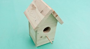 How to build a bird house