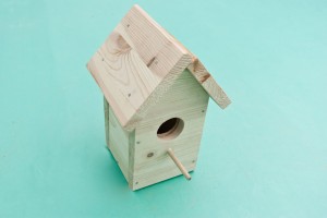 How to build a bird house