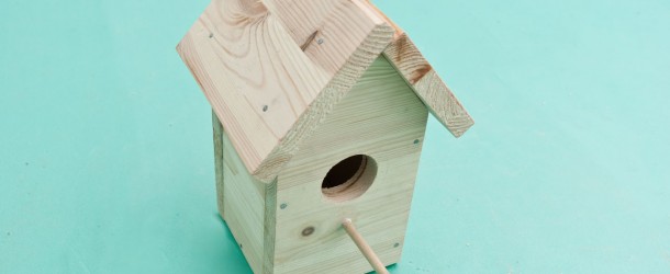 How to build a bird house