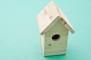 Building a bird house