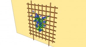 How to build a garden trellis