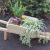 How to build a wheelbarrow planter