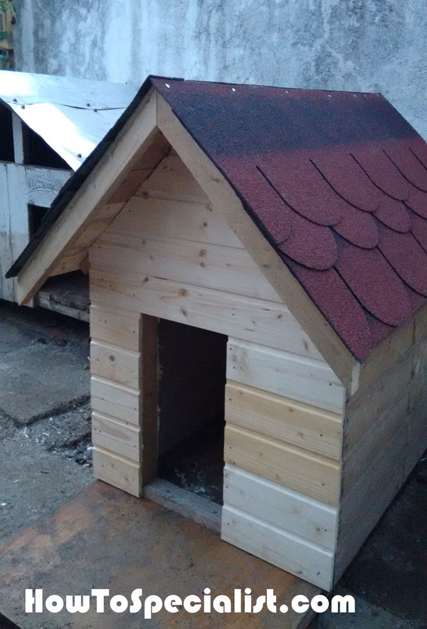 Building-a-dog-house